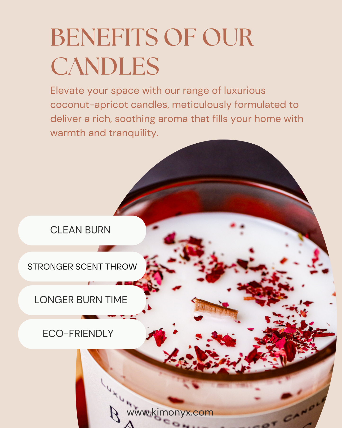 Baja Cactus Blossom | Coconut-Apricot Candle 12oz  (Topped with Dried Flowers) + Free Car Air Freshener
