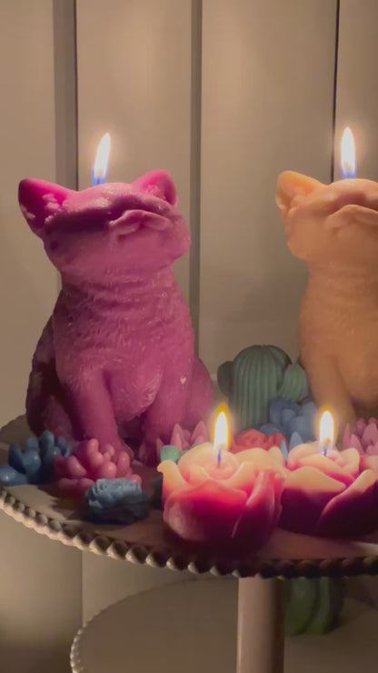 Kitty Candle